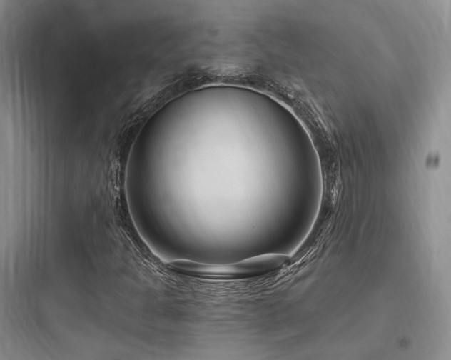 X0000097971301200803241225