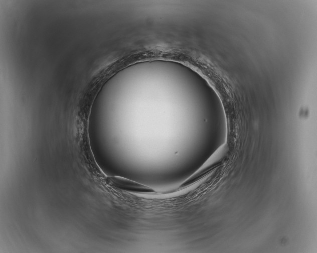 X0000097971302200803241225