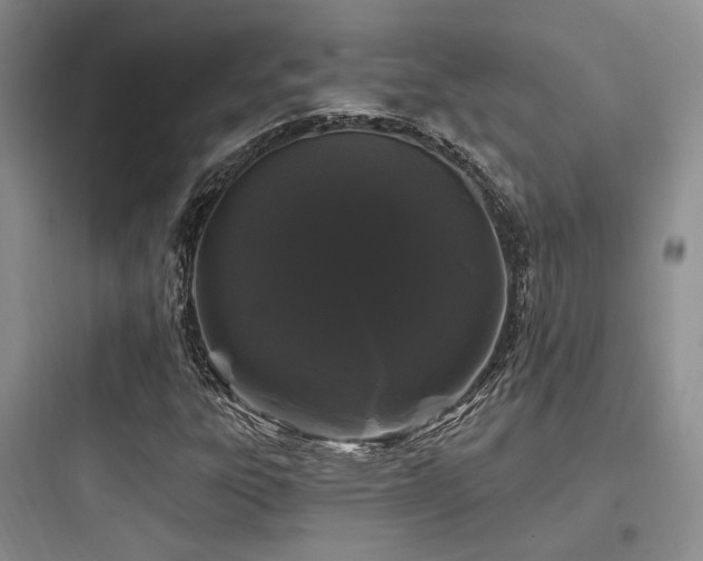 X0000097971303200803241225