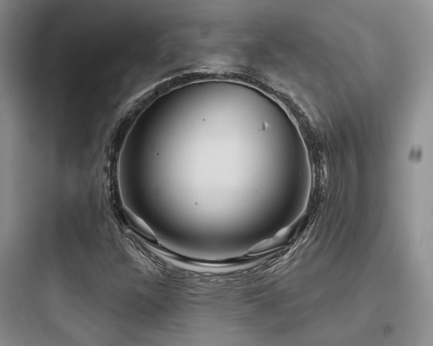 X0000097971304200803241225