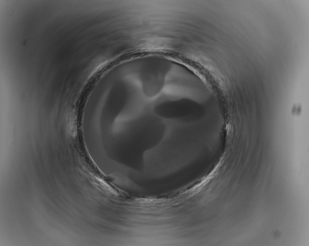 X0000097971306200803241225