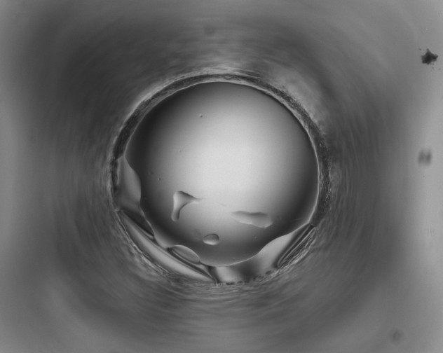 X0000097971308200803241225