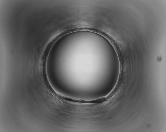 X0000097971309200803241225