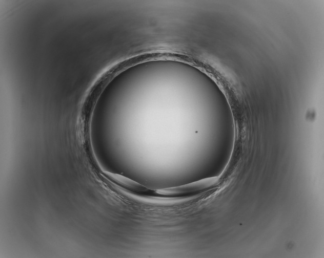 X0000097971310200803241225