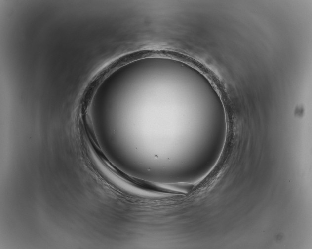 X0000097971311200803241225