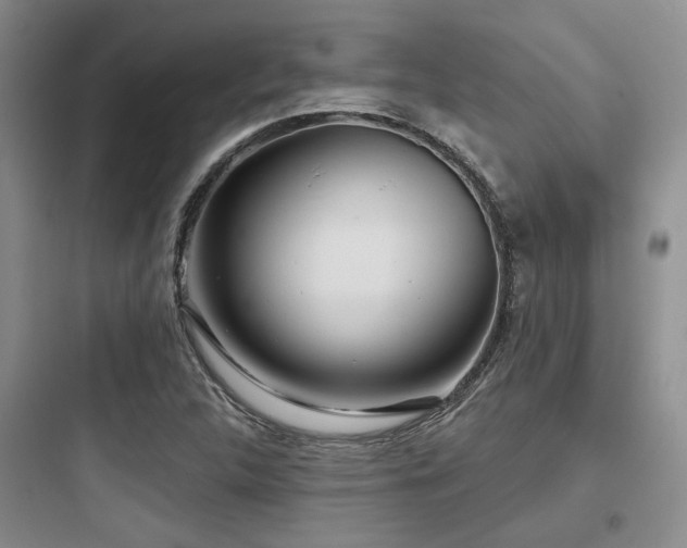 X0000097971312200803241225