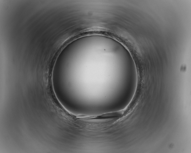 X0000097971313200803241225