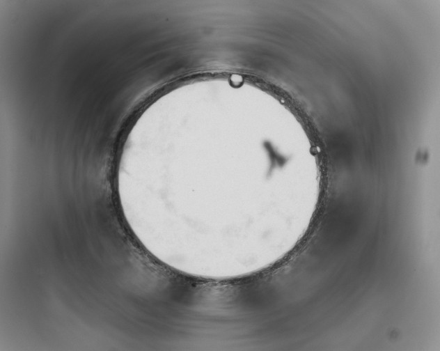 X0000097971314200803241225
