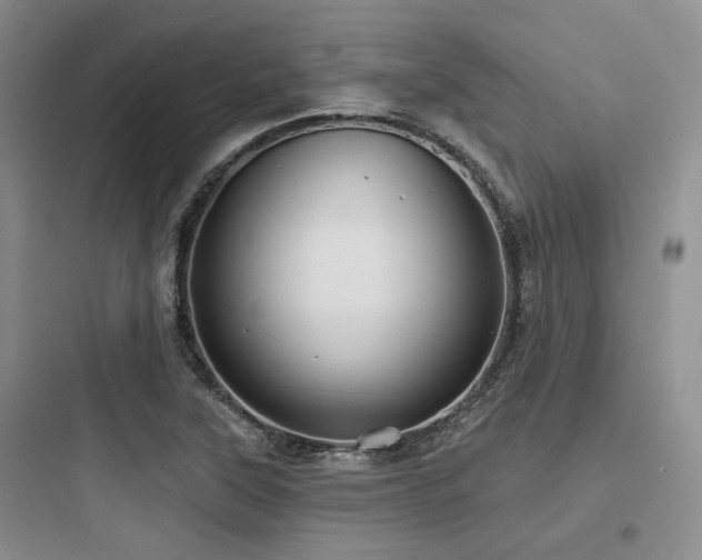 X0000097971315200803241225