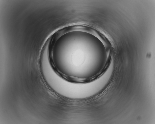 X0000097971316200803241225