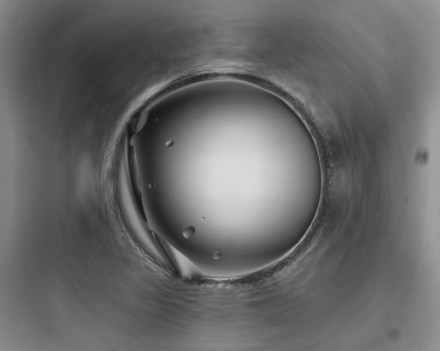 X0000097971317200803241225