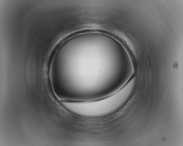 X0000097971318200803241225