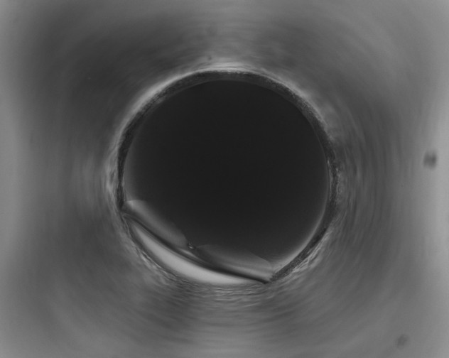 X0000097971319200803241225