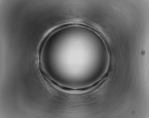 X0000097971320200803241225
