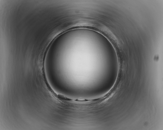 X0000097971321200803241225
