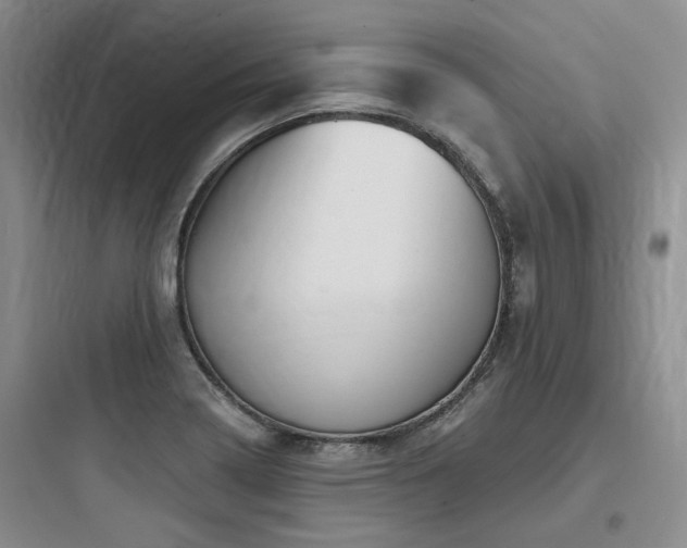 X0000097971322200803241225
