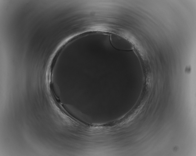 X0000097971323200803241225