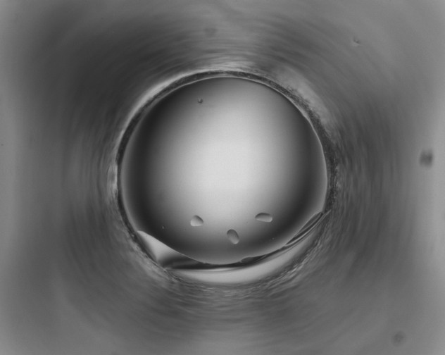 X0000097971324200803241225