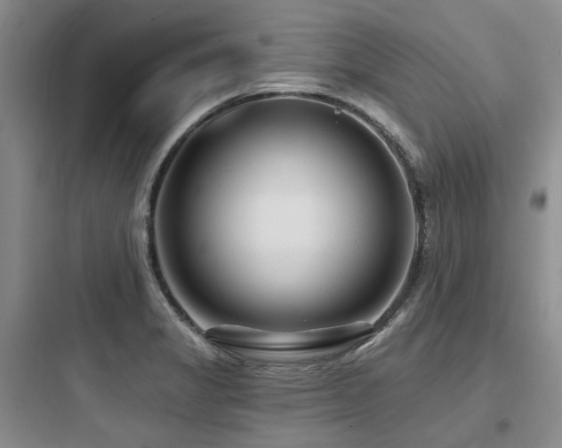 X0000097971325200803241225