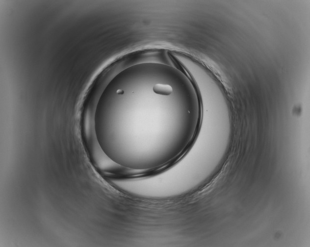 X0000097971326200803241225