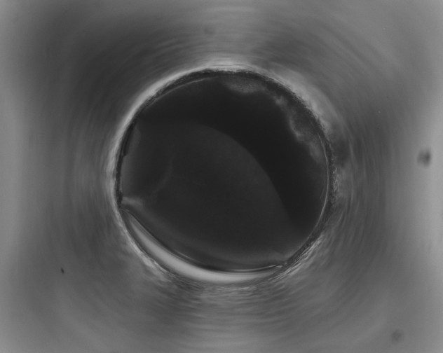 X0000097971327200803241225