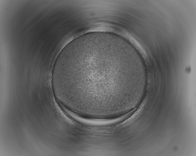 X0000097971329200803241225