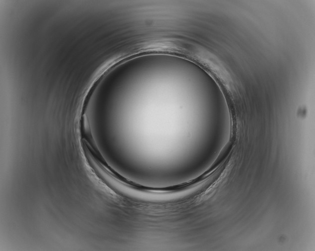 X0000097971330200803241225