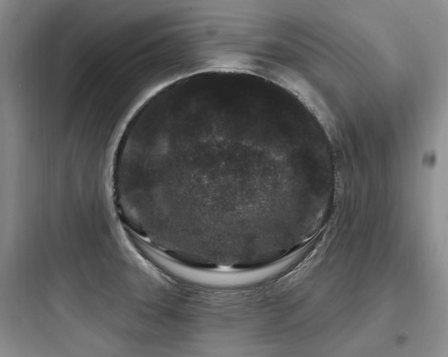X0000097971331200803241225