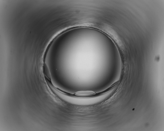 X0000097971332200803241225