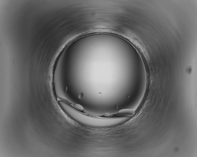 X0000097971333200803241225