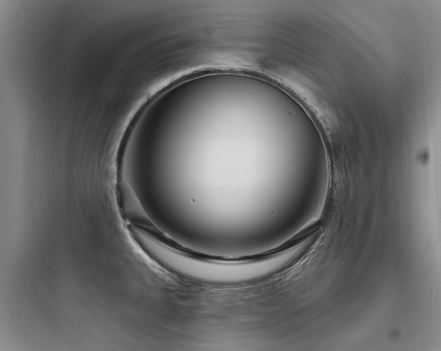 X0000097971335200803241225