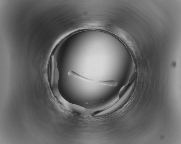 X0000097971336200803241225