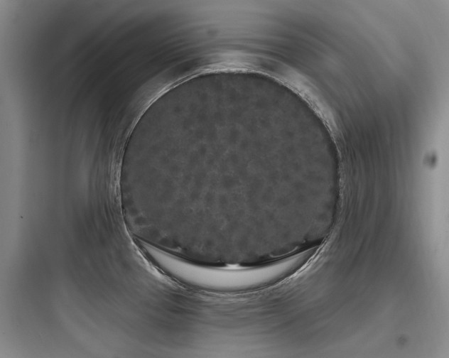 X0000097971337200803241225