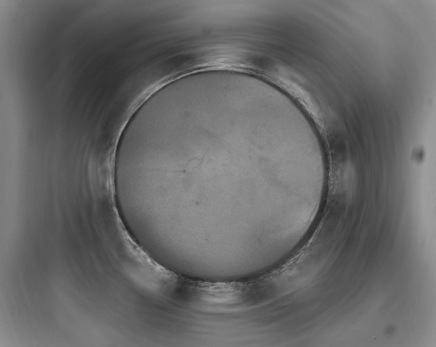X0000097971338200803241225