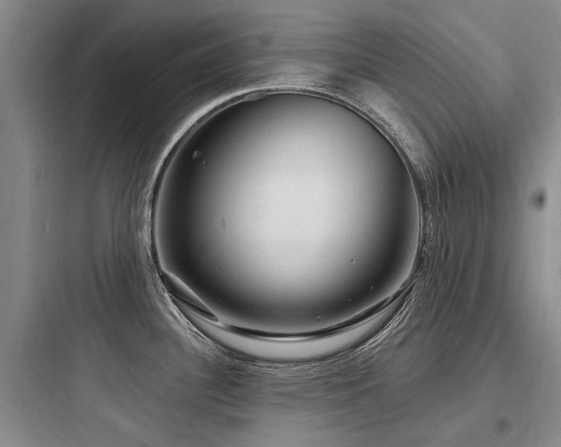 X0000097971340200803241225