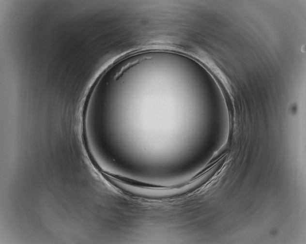 X0000097971341200803241225