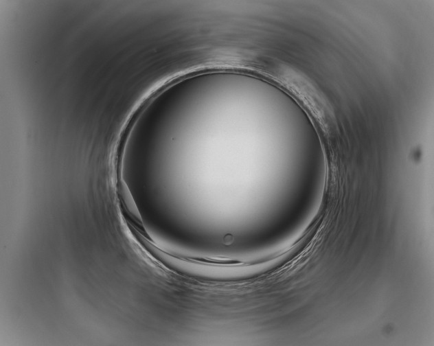 X0000097971342200803241225