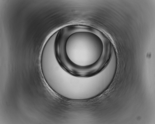 X0000097971344200803241225
