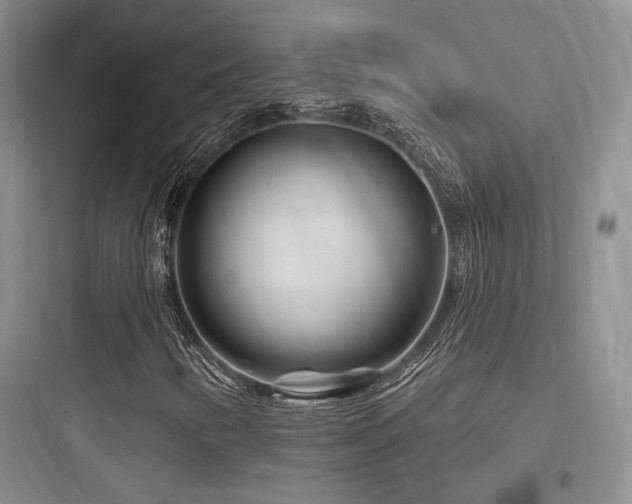 X0000097971346200803241225