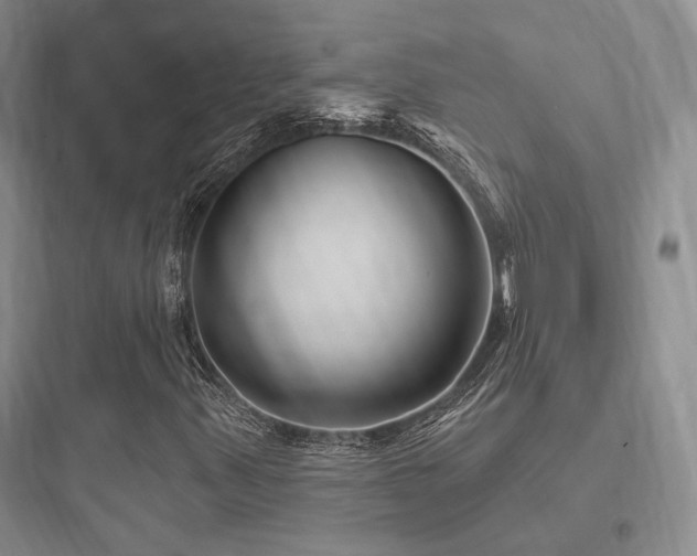 X0000097971347200803241225