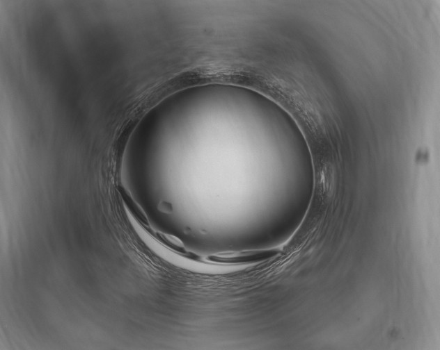 X0000097971348200803241225