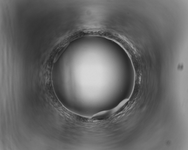 X0000097971350200803241225