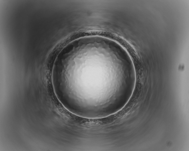 X0000097971351200803241225