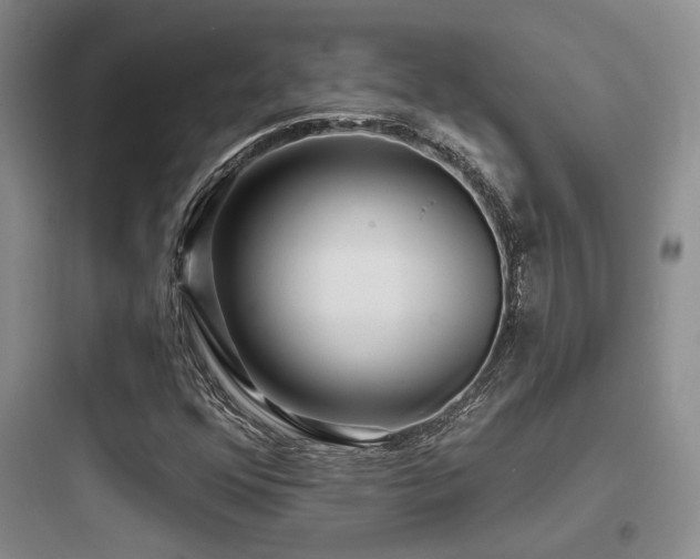 X0000097971352200803241225