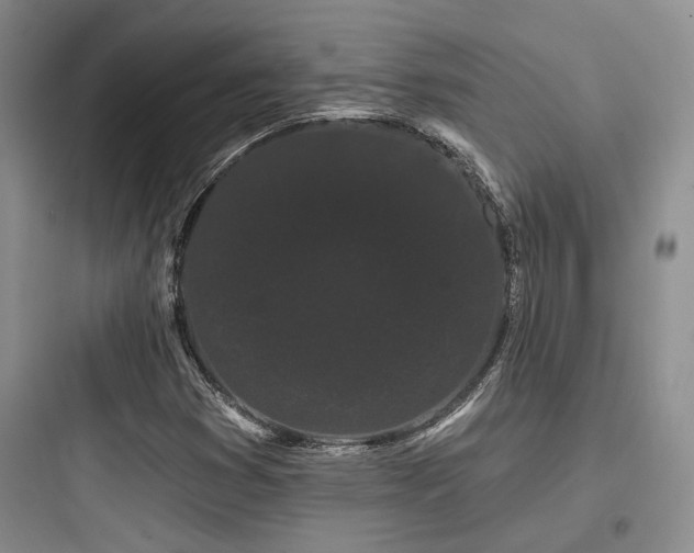 X0000097971353200803241225