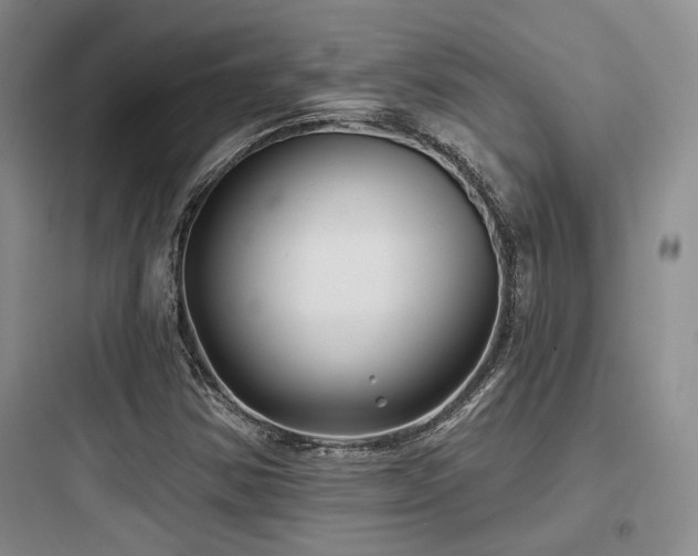 X0000097971354200803241225