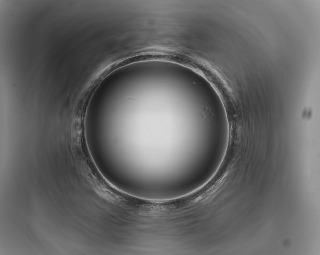 X0000097971355200803241225