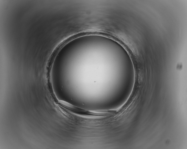 X0000097971356200803241225