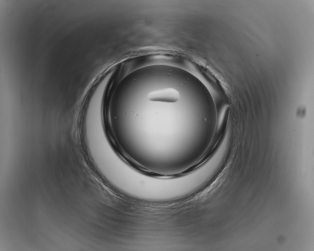 X0000097971357200803241225