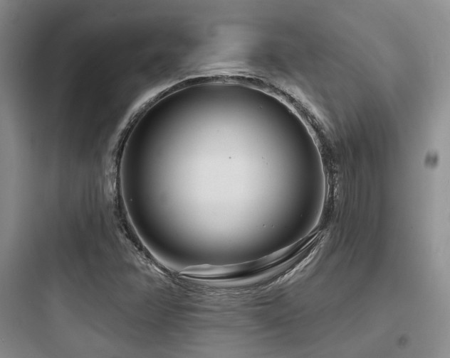 X0000097971358200803241225